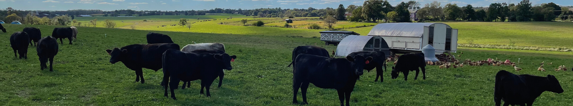 Lima Family Farms Banner Photo